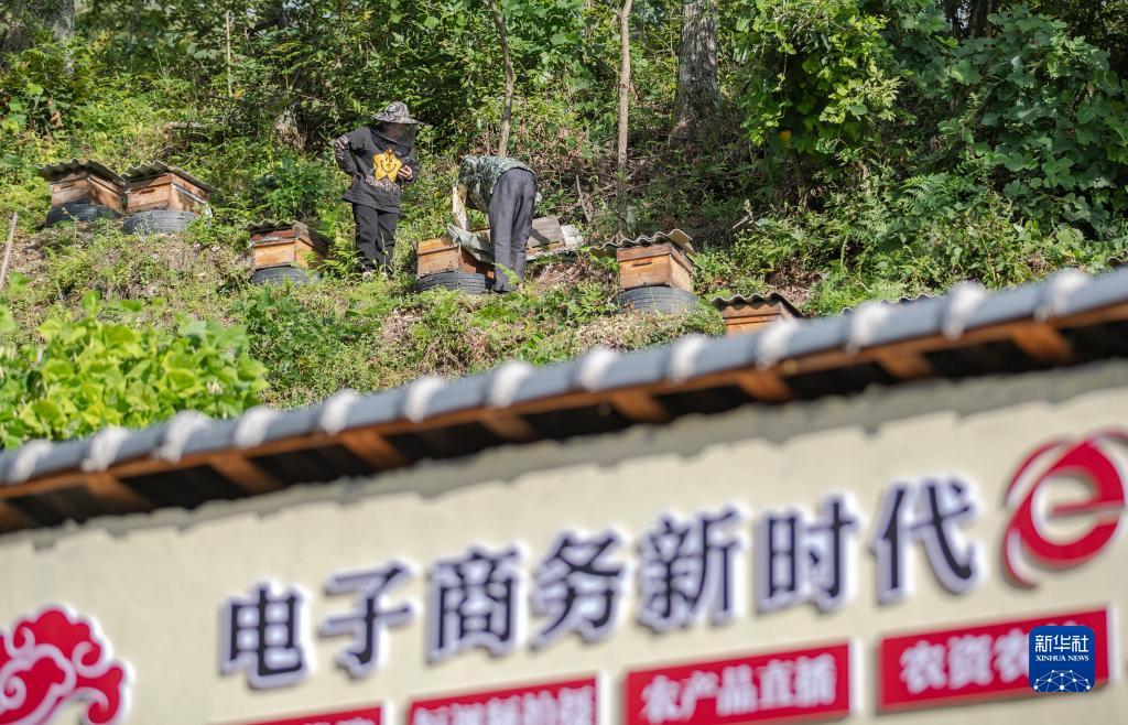 小美斗地主姚记官方下载